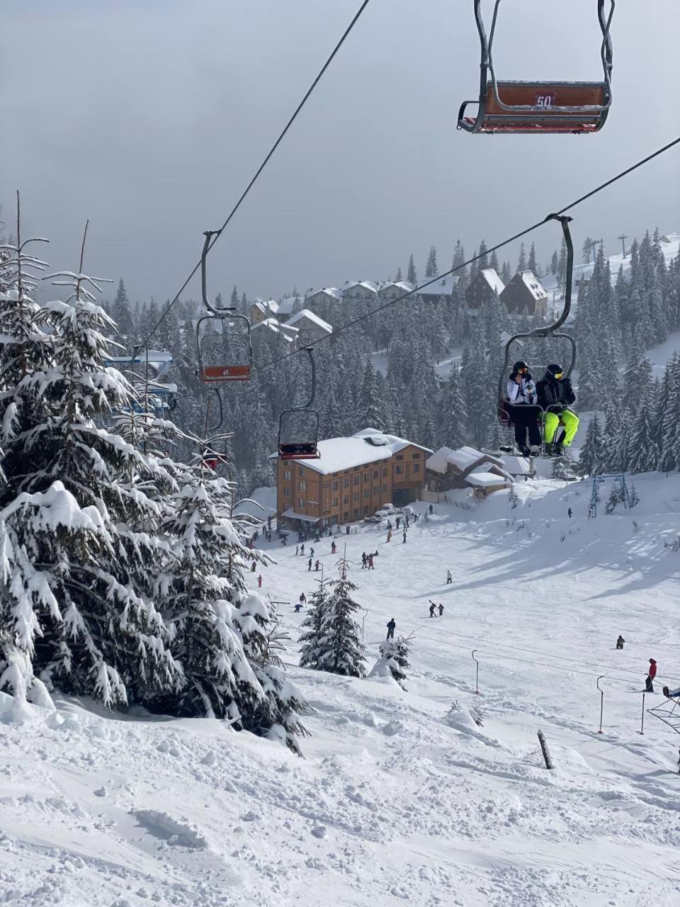 Vershyna Dragobrat Bagian luar foto