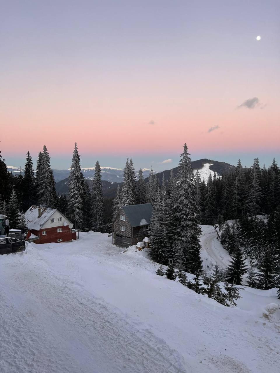 Vershyna Dragobrat Bagian luar foto